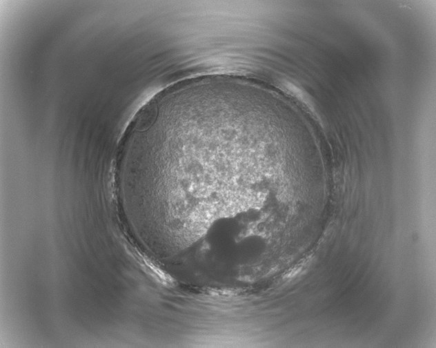 X0000066540875200603201423