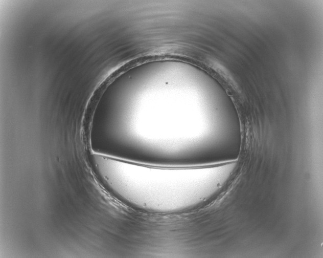 X0000066540876200603201423