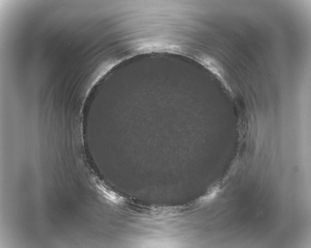 X0000066540877200603201423