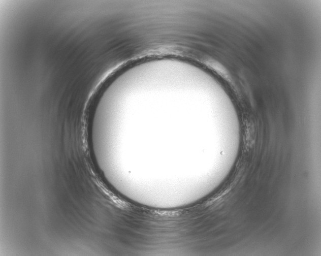 X0000066540878200603201423