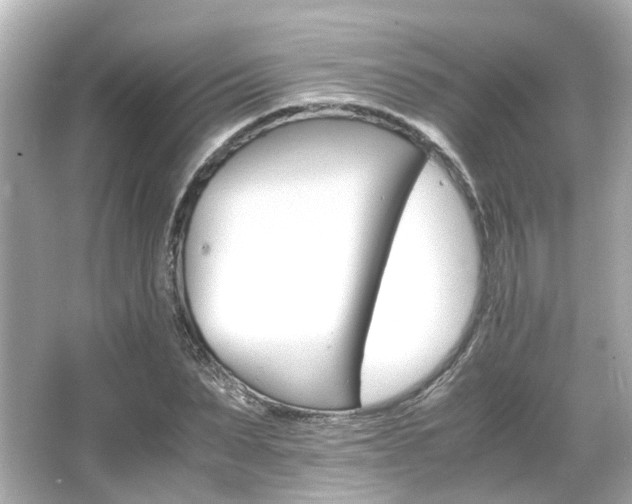 X0000066540879200603201423