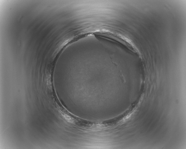 X0000066540881200603201423