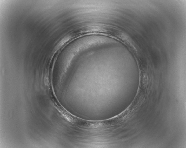 X0000066540882200603201423