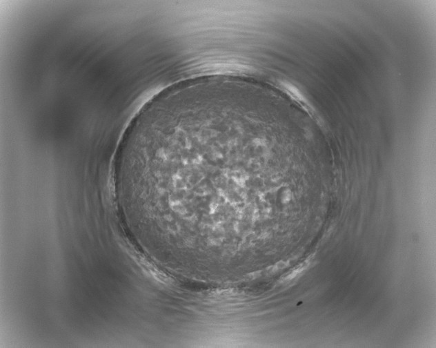 X0000066540883200603201423