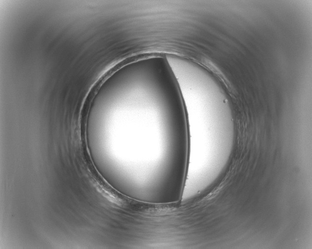 X0000066540884200603201423