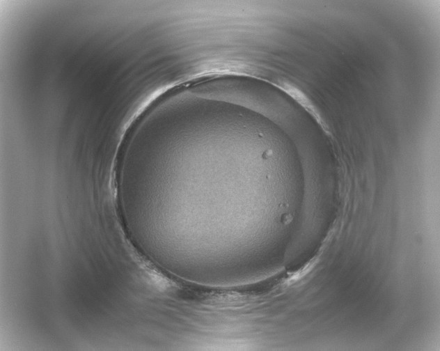 X0000066540885200603201423