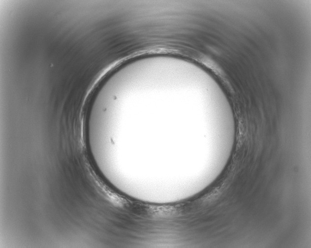 X0000066540886200603201423