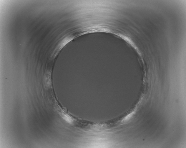 X0000066540889200603201423