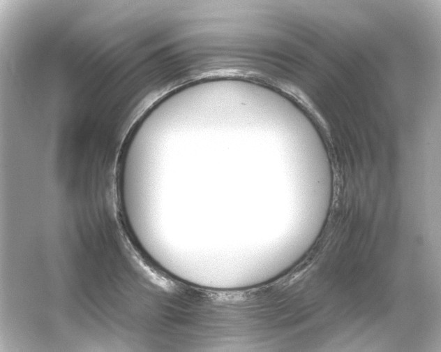 X0000066540890200603201423