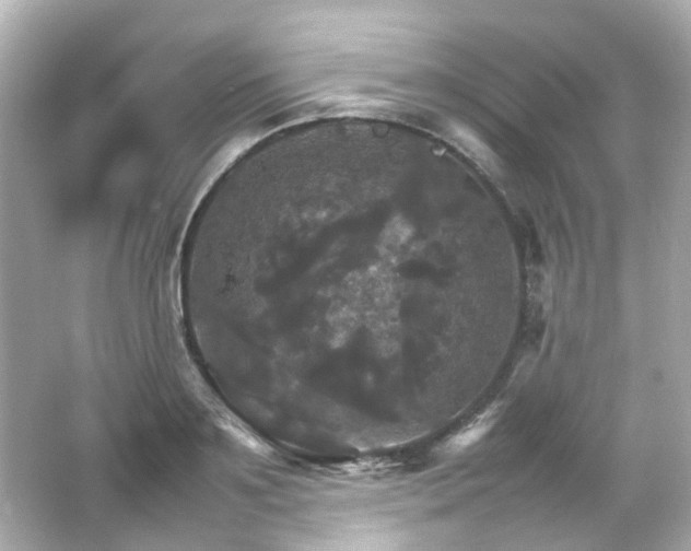 X0000066540891200603201423