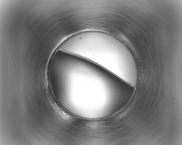 X0000066540892200603201423