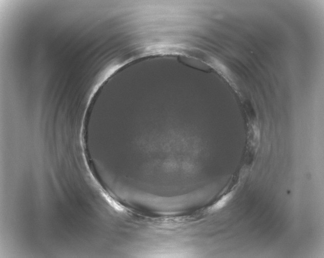 X0000066540893200603201423