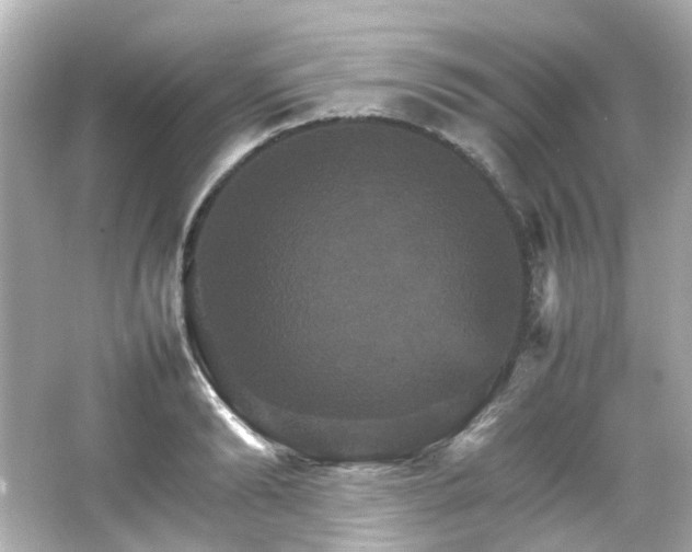 X0000066540894200603201423