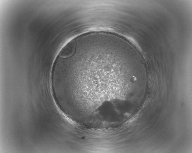 X0000066540895200603201423