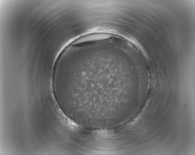 X0000066540896200603201423