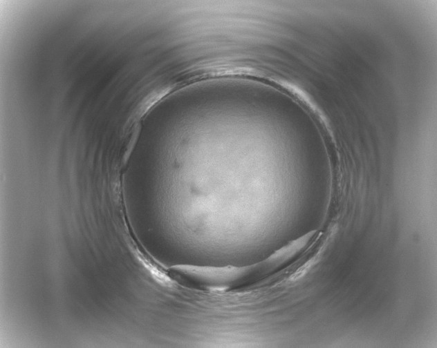 X0000066540897200603201423