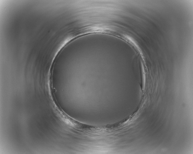 X0000066540899200603201422