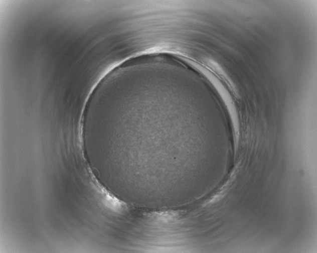 X0000066540900200603201422