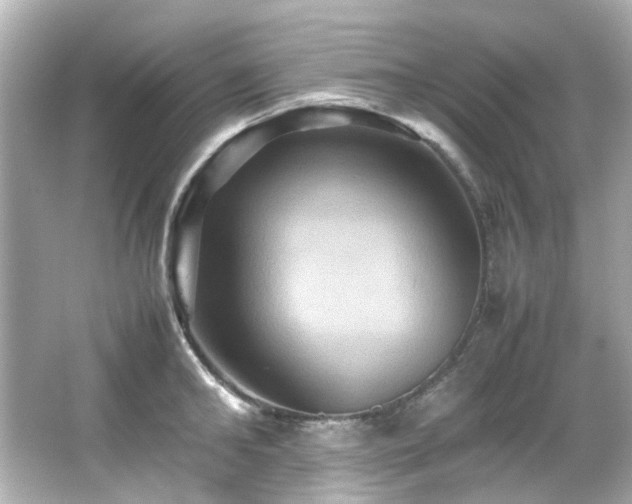 X0000066540902200603201422