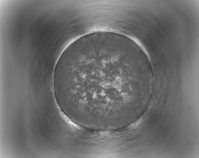 X0000066540903200603201422