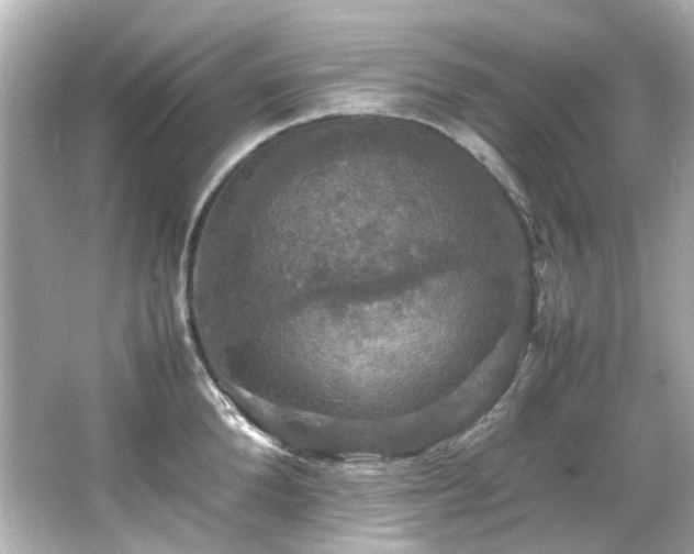 X0000066540904200603201422