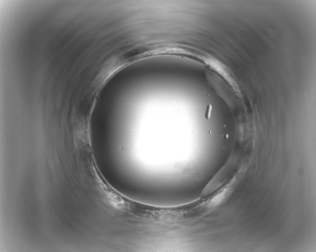 X0000066540905200603201422