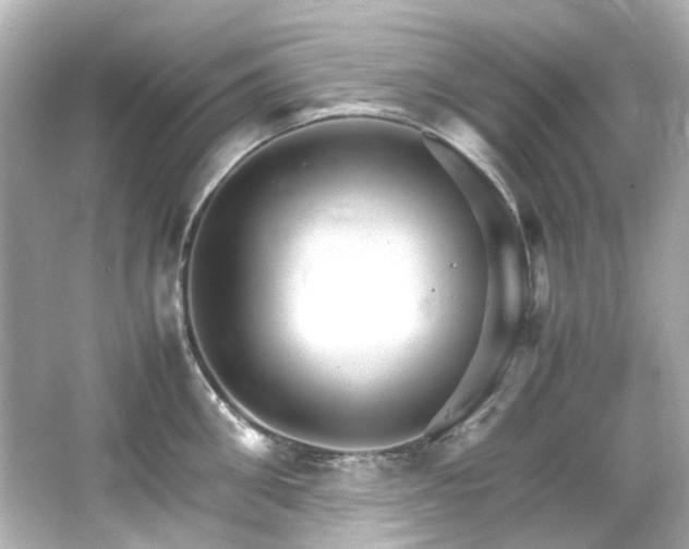 X0000066540906200603201422