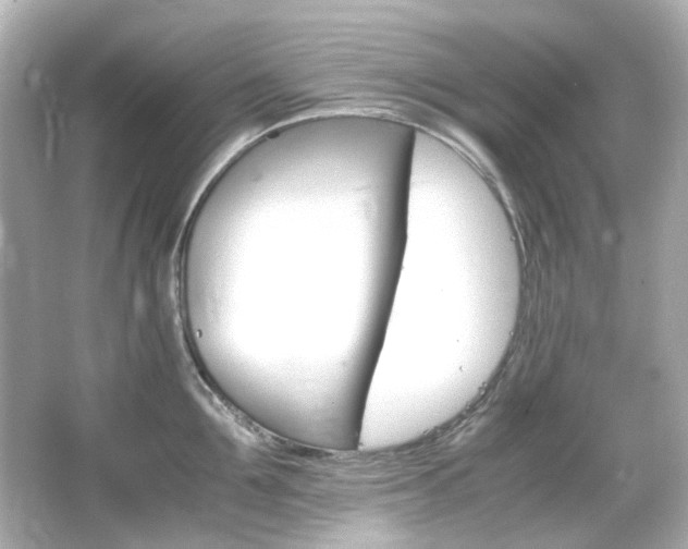 X0000066540907200603201422