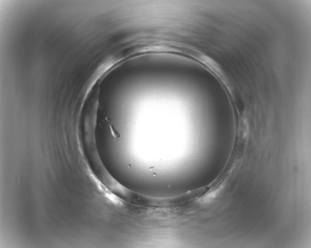 X0000066540909200603201422