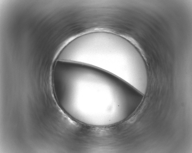 X0000066540910200603201422