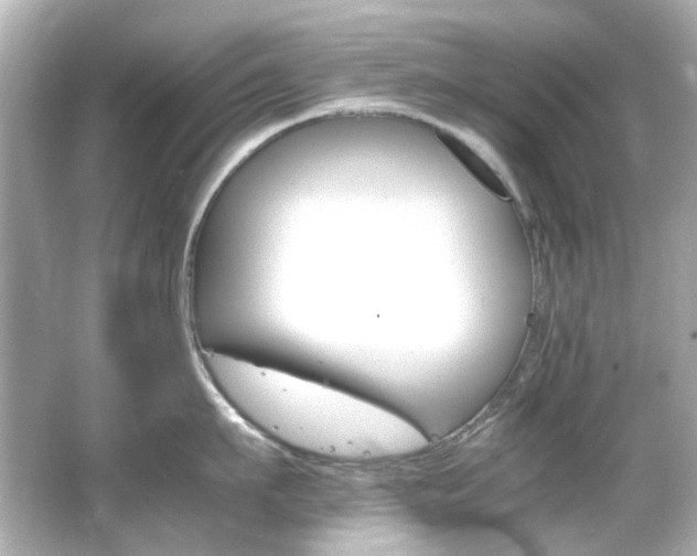 X0000066540911200603201422