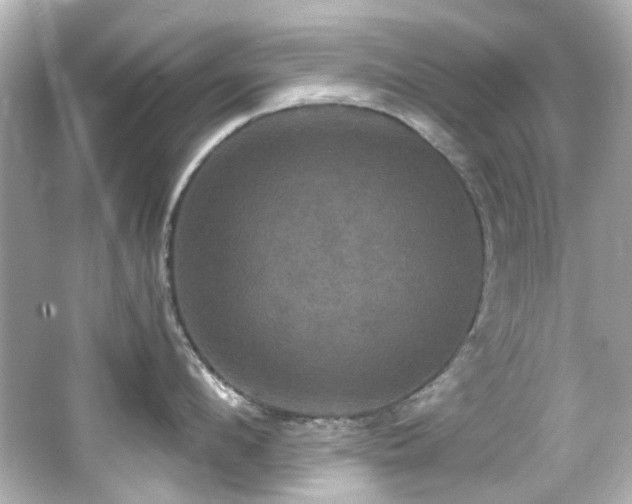 X0000066540912200603201422