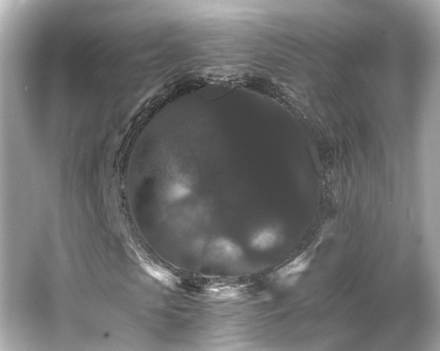 X0000066540913200603201421