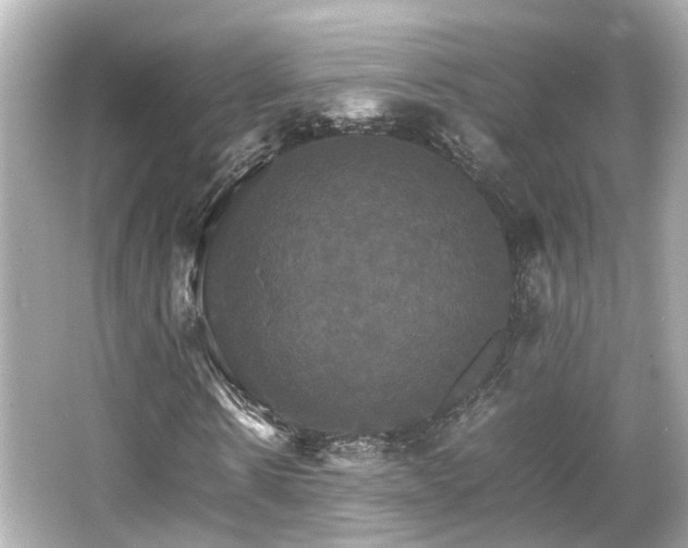 X0000066540914200603201421