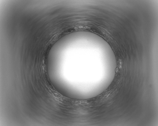 X0000066540915200603201421