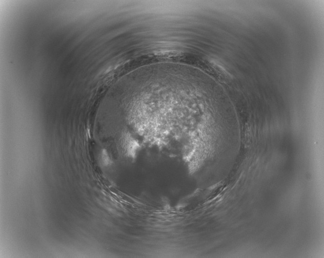 X0000066540917200603201422