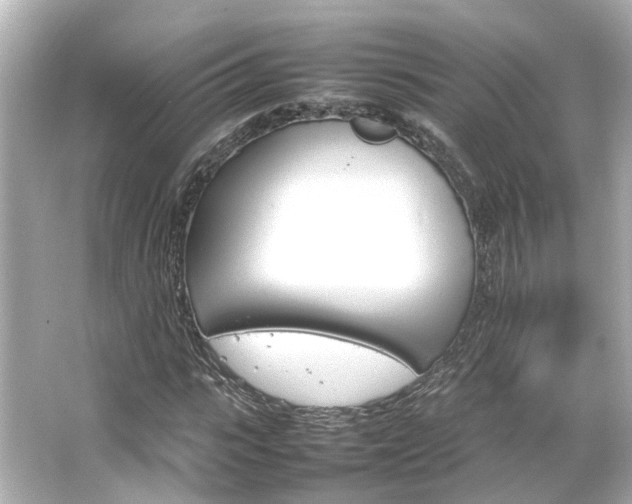 X0000066540919200603201422