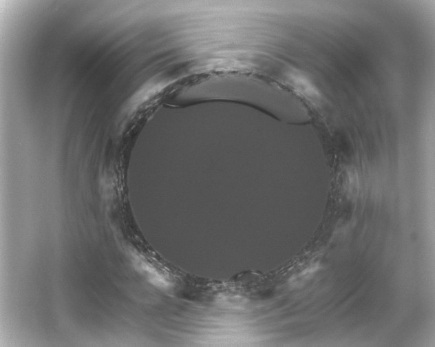 X0000066540920200603201422