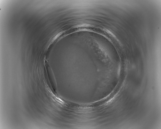 X0000066540921200603201422