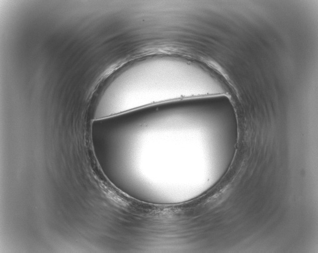 X0000066540922200603201422