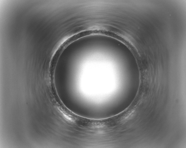 X0000066540927200603201422