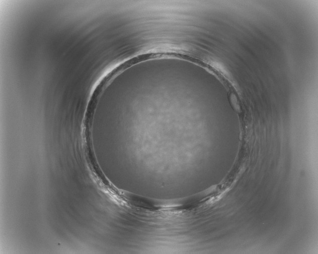 X0000066540928200603201422