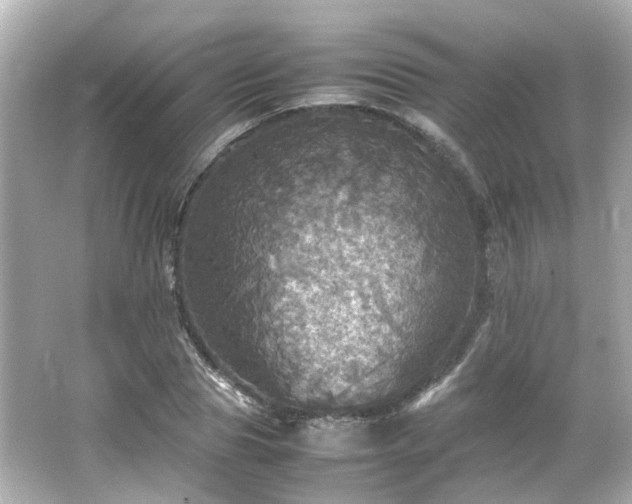 X0000066540929200603201422