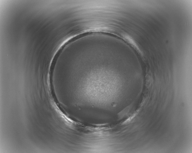 X0000066540932200603201422