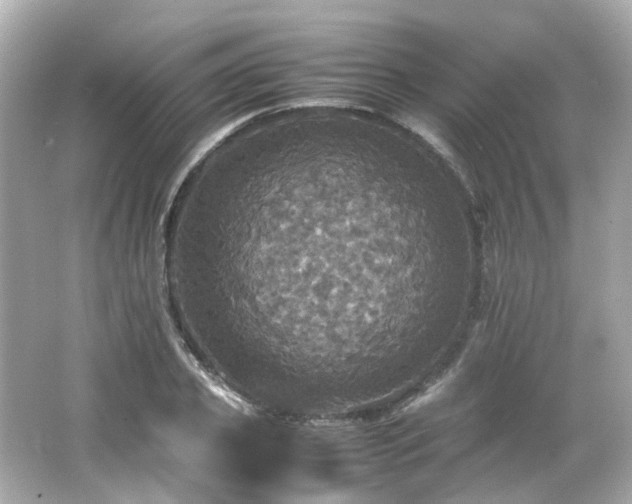 X0000066540933200603201422