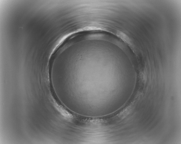 X0000066540934200603201422