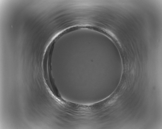 X0000066540935200603201422