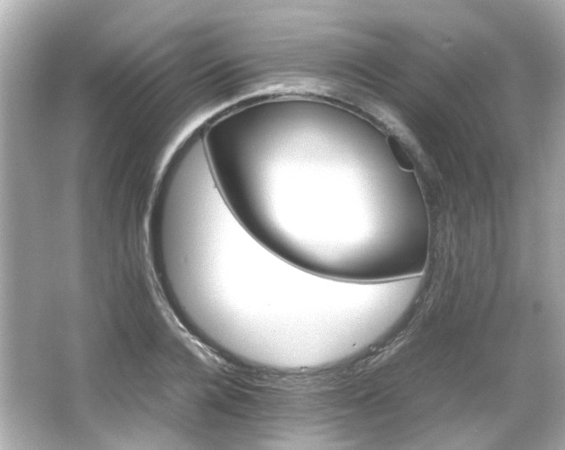 X0000066540936200603201422