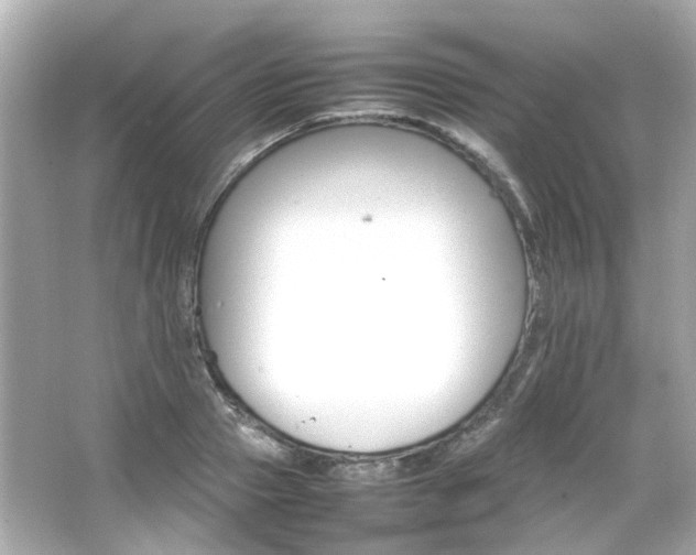 X0000066540937200603201422