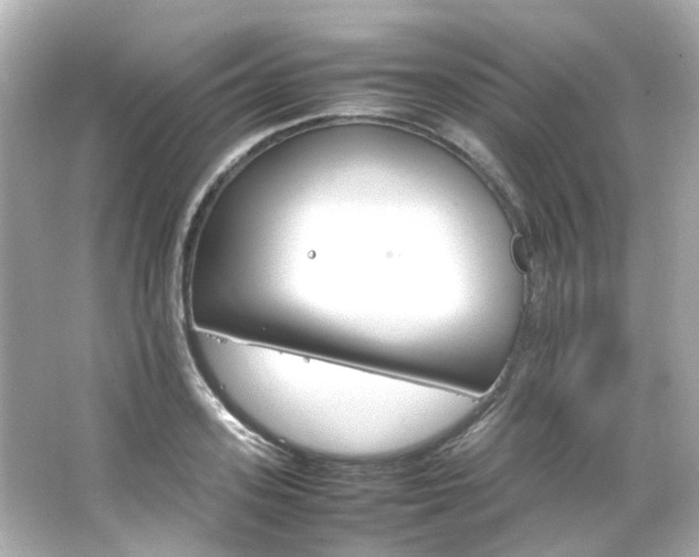 X0000066540939200603201422